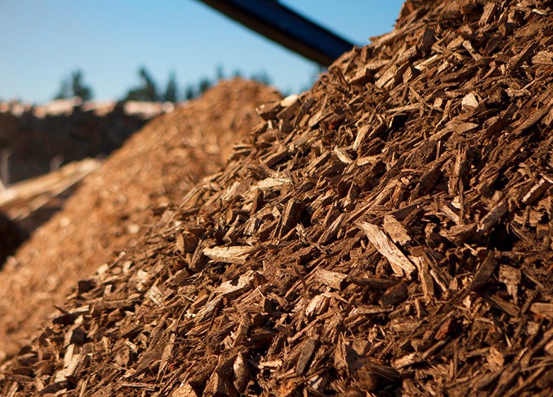 Biomass