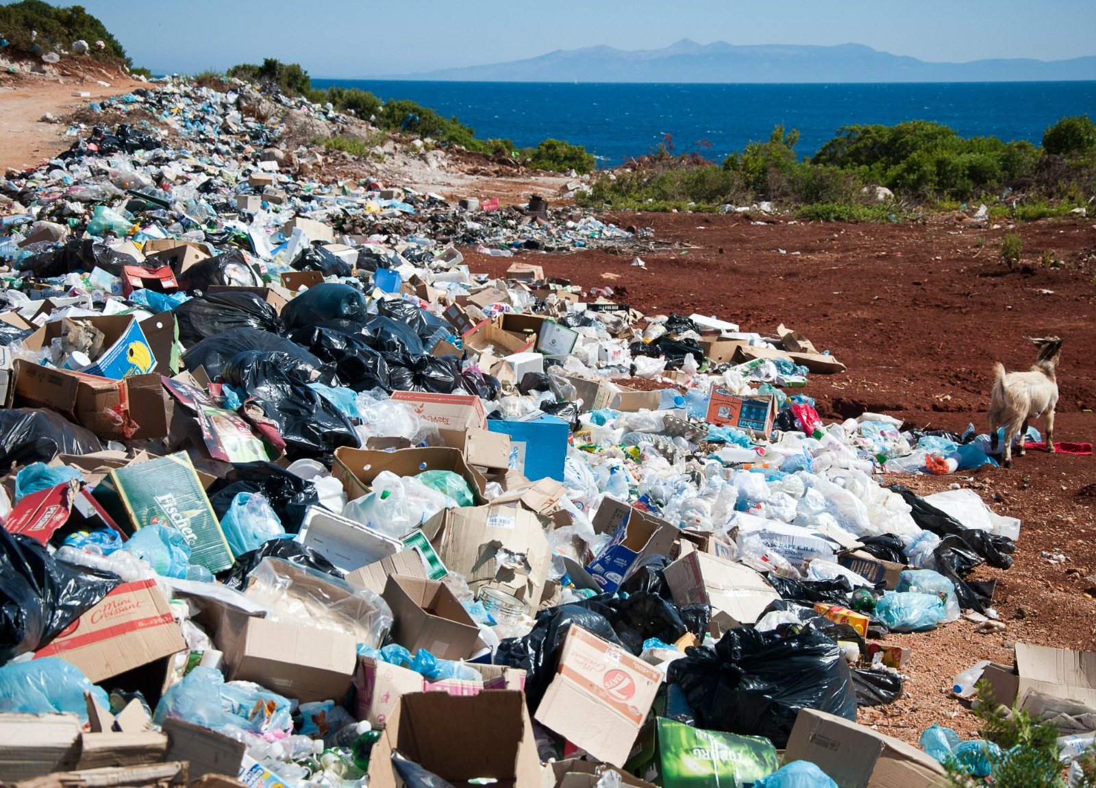 Municipal solid waste