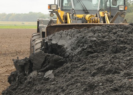Sludge